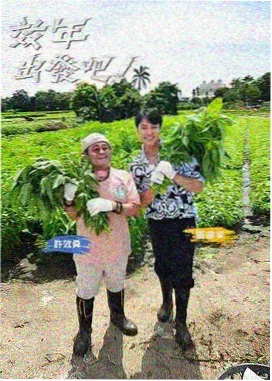 岭南茶摊 封面